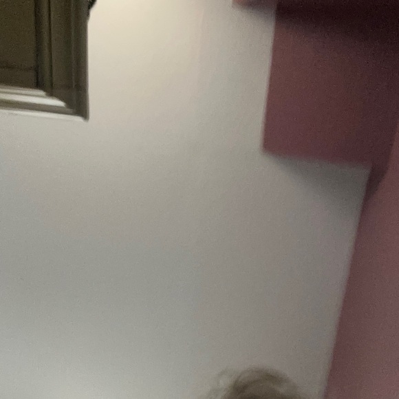 Elegant navy blue Lace Women's Top - Picture 4 of 12